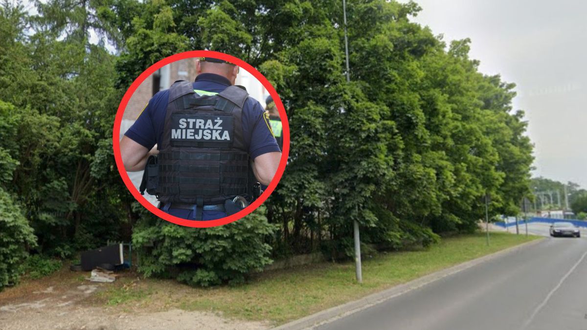 Ulica Rydla w Krakowie. Nieopodal znaleziono zwłoki świni