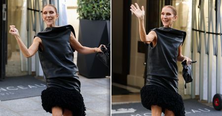 Celine Dion zaskoczyła fanów. Zrobiła to z nimi przed hotelem