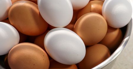 Lepsze białe czy brązowe jajka? Wiele osób nie ma o tym pojęcia