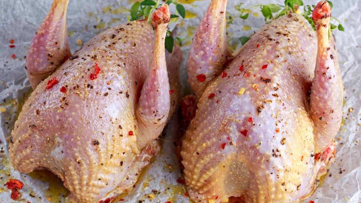 Kuropatwa kiedyś była królewskim ptakiem