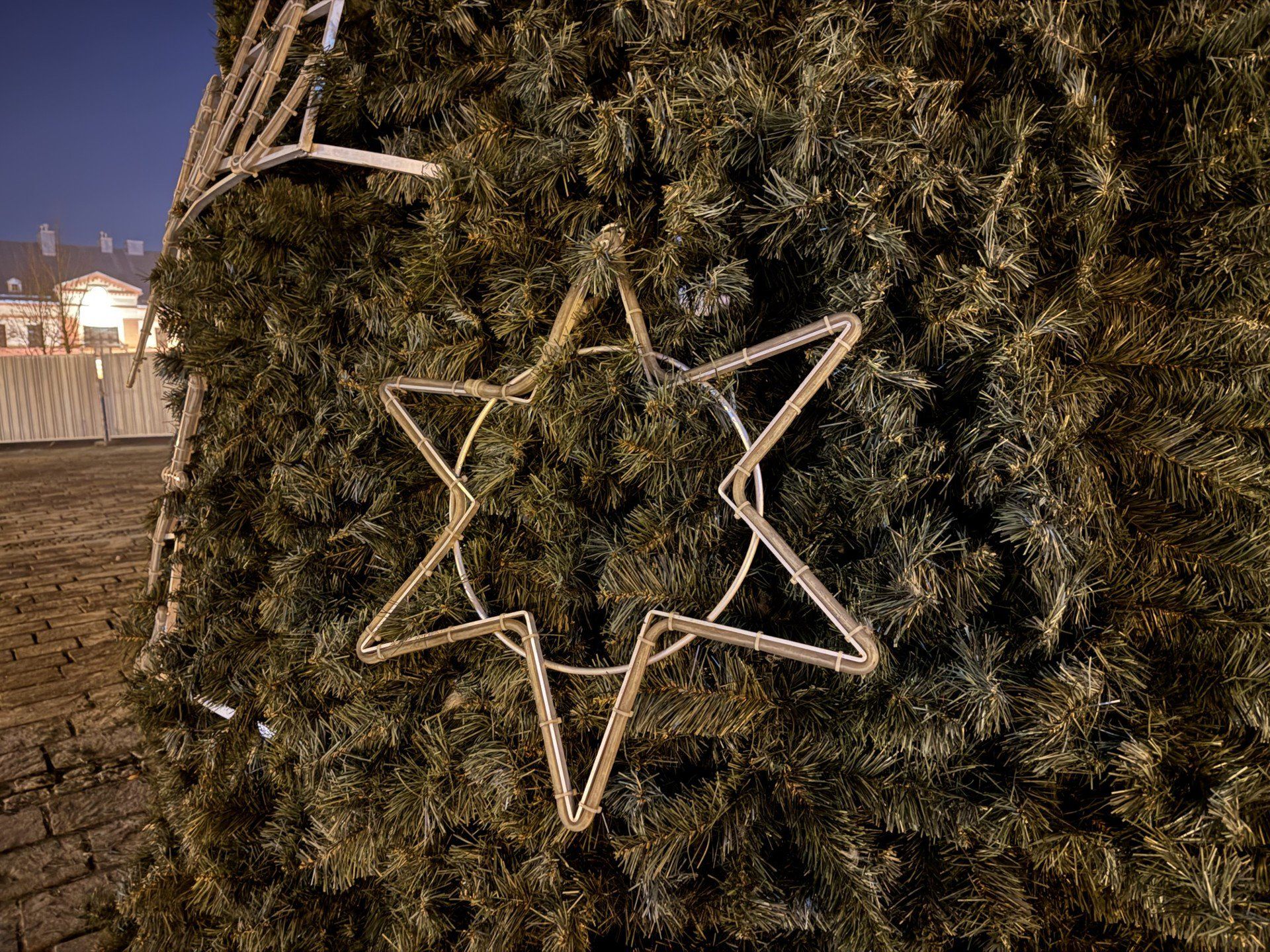 Choinka na rynku w Olkuszu już gotowa