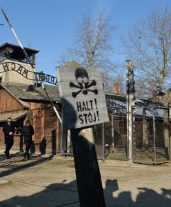 Rocznica wyzwolenia Auschwitz. Komentarz Morawieckiego i Ziobry