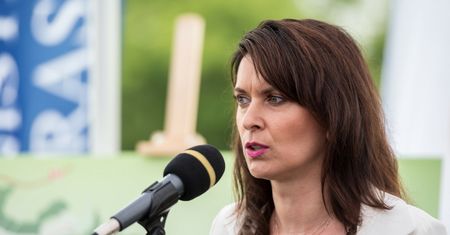 Politycy PiS chcieli dać zabytek Węgrom. Posłanka się wycofała