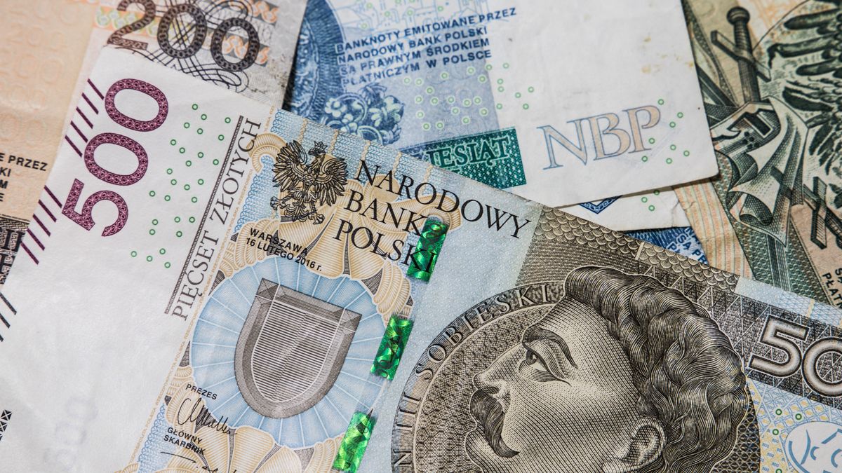 Sławomir Mentzen chciałby likwidacji 500 plus