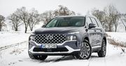 Hyundai Santa Fe już bez diesla. Za to z nową, praktyczną wersją