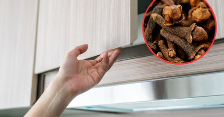 Porozrzucałem w kuchennych szafkach goździki. Tak szybko pozbyłem się uciążliwego problemu
