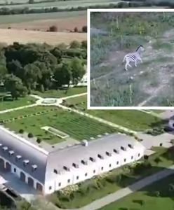 Posiadłość rodziny Orbana. Nagranie wzbudziły emocje