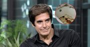 David Copperfield pozwany, bo zapuścił luksusowy penthouse. Obrzydliwe zdjęcia trafiły do sieci
