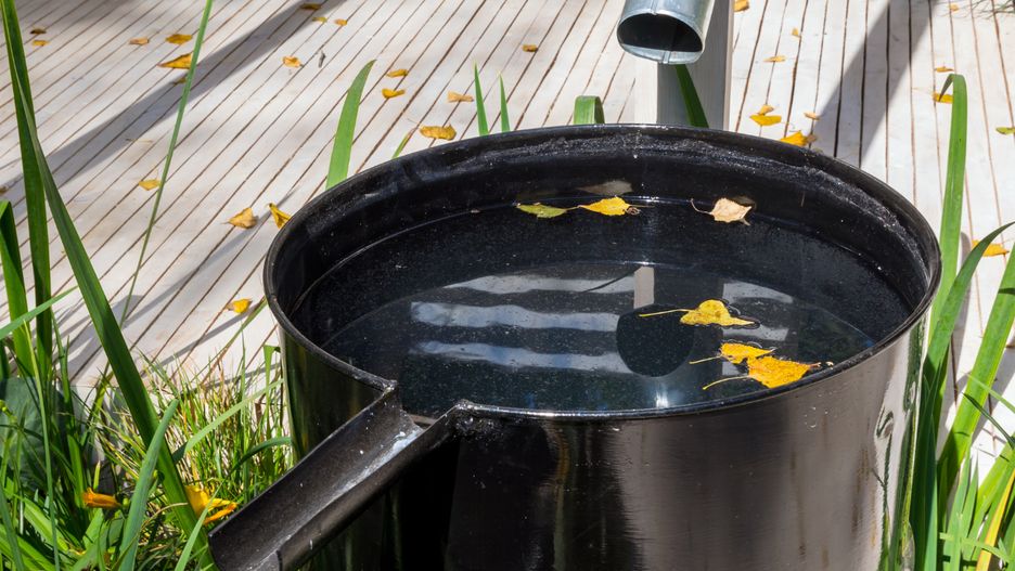 Nieodpowiednie zbieranie deszczówki może słono kosztować