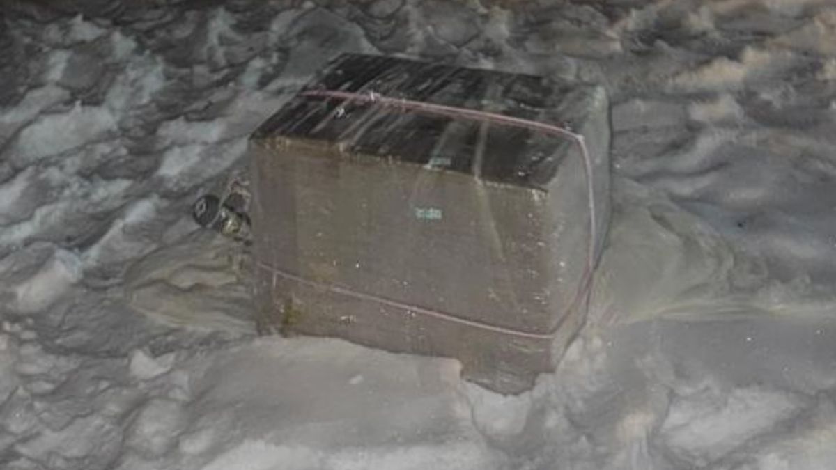 Pakunek znaleziony w Białymstoku. 