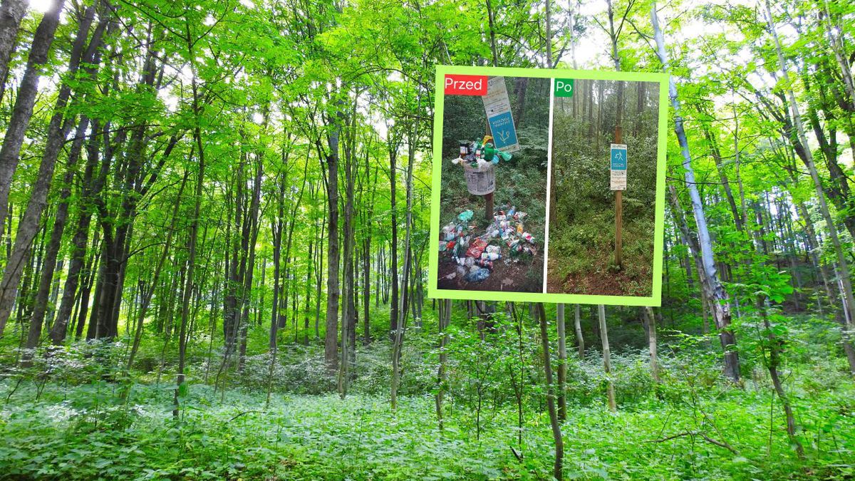 Zamienili las w wysypisko. Leśnicy mają dość
