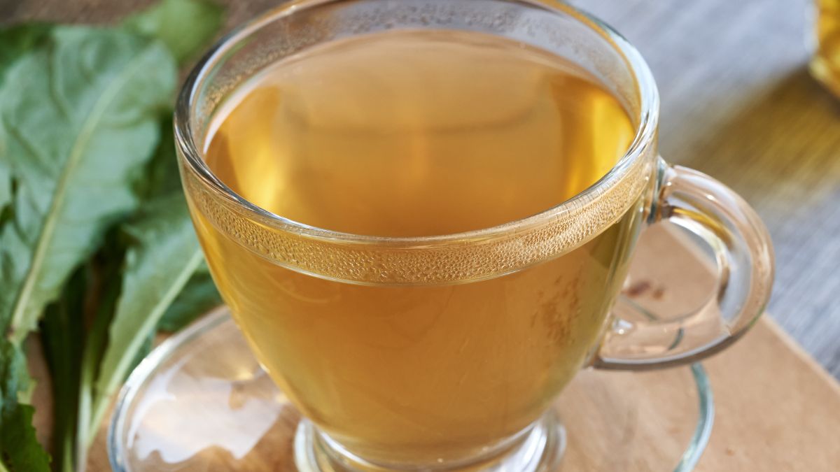 Herbata z korzenia mniszka lekarskiego