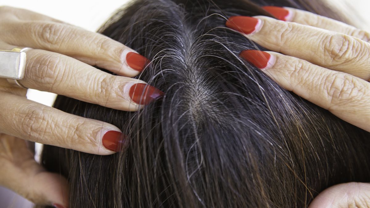 Checking for gray hair
Close of the hair of a woman checking for grey hair.
Marcus Lindstrom