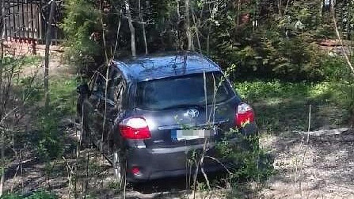 Auto przejechało około 200 metrów i stanęło w pobliskich krzakach.