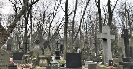 Wielkopolskie. Makabryczny widok. Leżały na hałdzie ziemi przez kilka dni