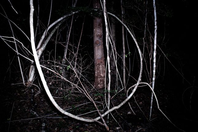 Cyril Costilhes,Grand Circle Diego, Grand Prix, Fotofestiwal 2015