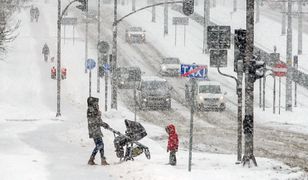 Pogoda. Silna wichura z wiatrem do 100 km/h zbliża się do Polski. Alerty dla wszystkich województw