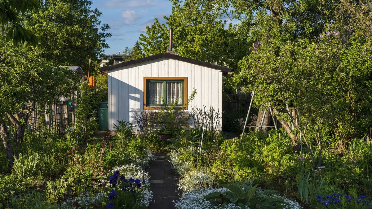 Ogrody działkowe padają ofiarą złodziei.
