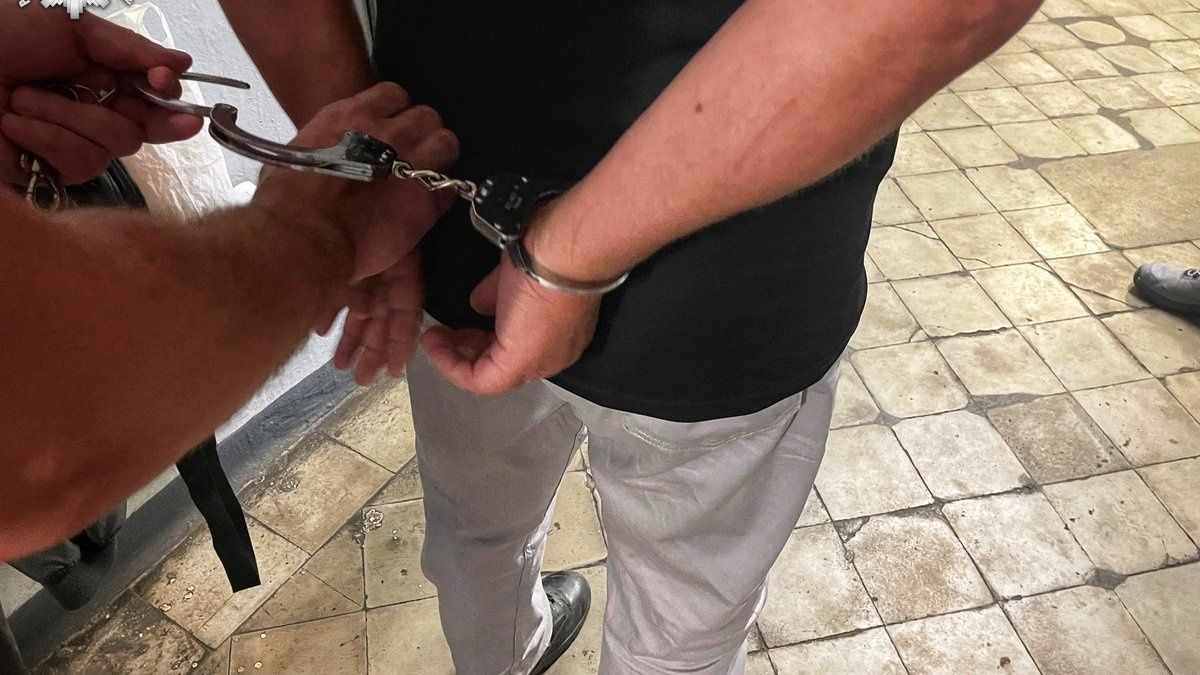 policja
