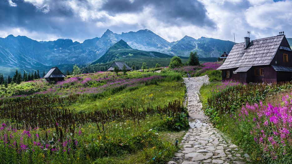 hala, tatry, polska, góry, lato, wierzbówka, kiprzyca, szlak, dolina, chmury, fiolet, zielony, fioletowy, panorama, krajobraz, panoramiczny, tapeta