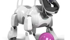 W Japonii z braku części zamiennych umierają psy-roboty Aibo