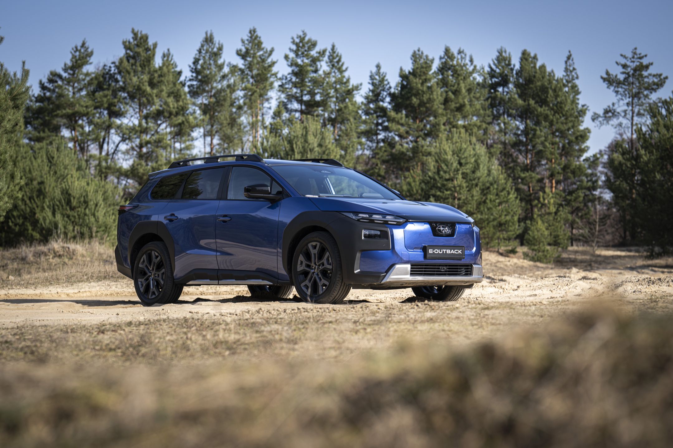 Matteo Cavadini   info@alexphoto