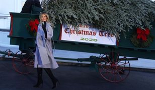 Melania Trump przyjęła świąteczną choinkę. "Kogo obchodzą święta?"