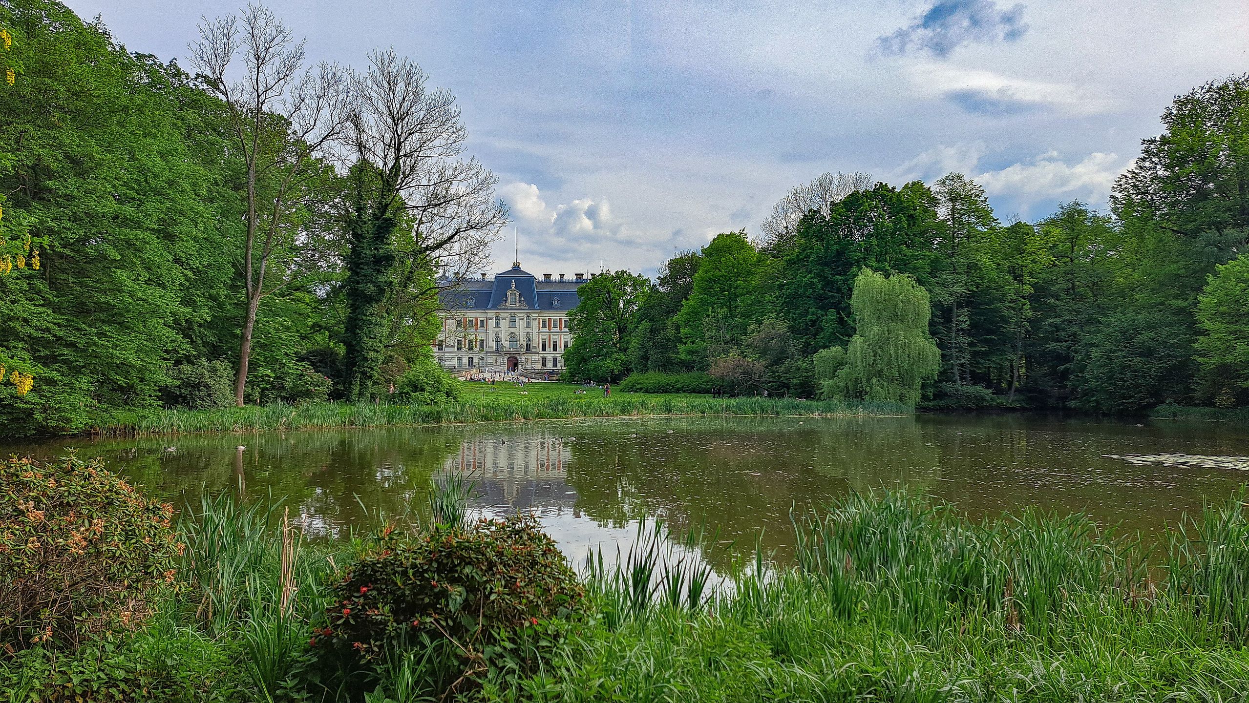 Park w Pszczynie otacza tamtejszy zamek