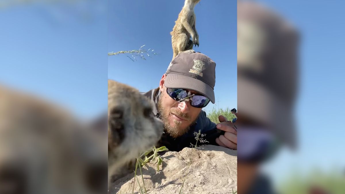 Był tam, gdzie trzeba. Zwierzęta dosłownie weszły my na głowę 1
