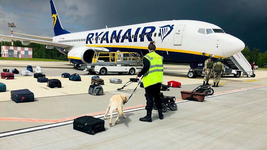 arch45
TOPSHOT - A Belarusian dog handler checks luggages off a Ryanair Boeing 737-8AS (flight number FR4978) parked on Minsk International Airport's apron in Minsk, on May 23, 2021. - Belarusian opposition Telegram channel Nexta said Sunday its former editor and exiled opposition activist Roman Protasevich had been detained at Minsk airport after his Lithuania-bound flight made an emergency landing. Protasevich was travelling aboard a Ryanair flight from Athens to Vilnius, which made an emergency landing following a bomb scare, TASS news agency reported citing the press service of Minsk airport. "The plane was checked, no bomb was found and all passengers were sent for another security search," Nexta said. "Among them was... Nexta journalist Roman Protasevich. He was detained." (Photo by - / ONLINER.BY / AFP) / RESTRICTED TO EDITORIAL USE - MANDATORY CREDIT "AFP PHOTO / ONLINER.BY " - NO MARKETING - NO ADVERTISING CAMPAIGNS - DISTRIBUTED AS A SERVICE TO CLIENTS
-