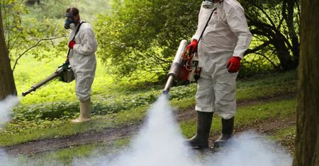 Potwierdziło się. Niebezpieczne komary w 13 państwach UE