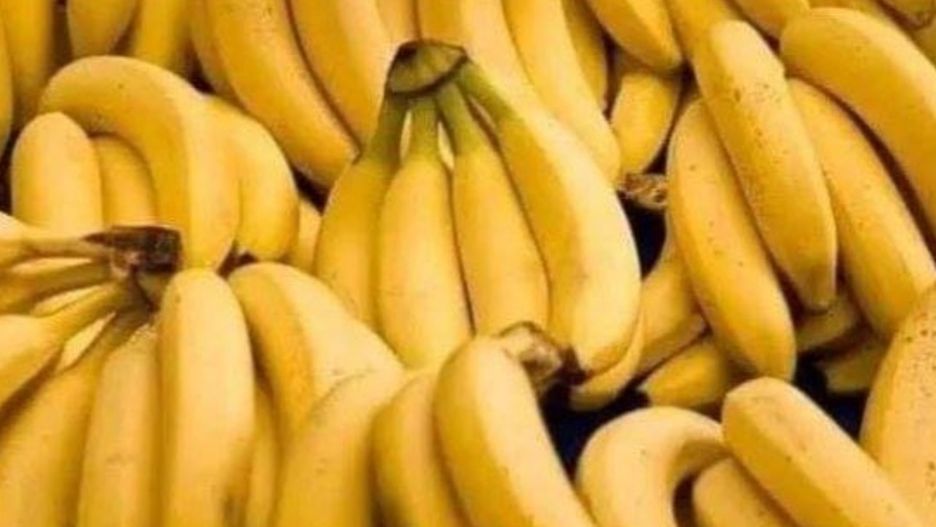 Zdjęcie bananów wzbudziło niemałe emocje