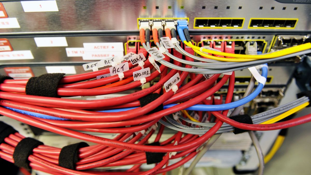 Źródło: JAN VAN DE VEL/REPORTERS/Science Photo Library/East News