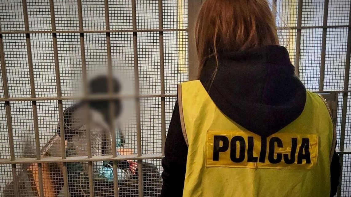 Kobieta została zatrzymana przez policję 