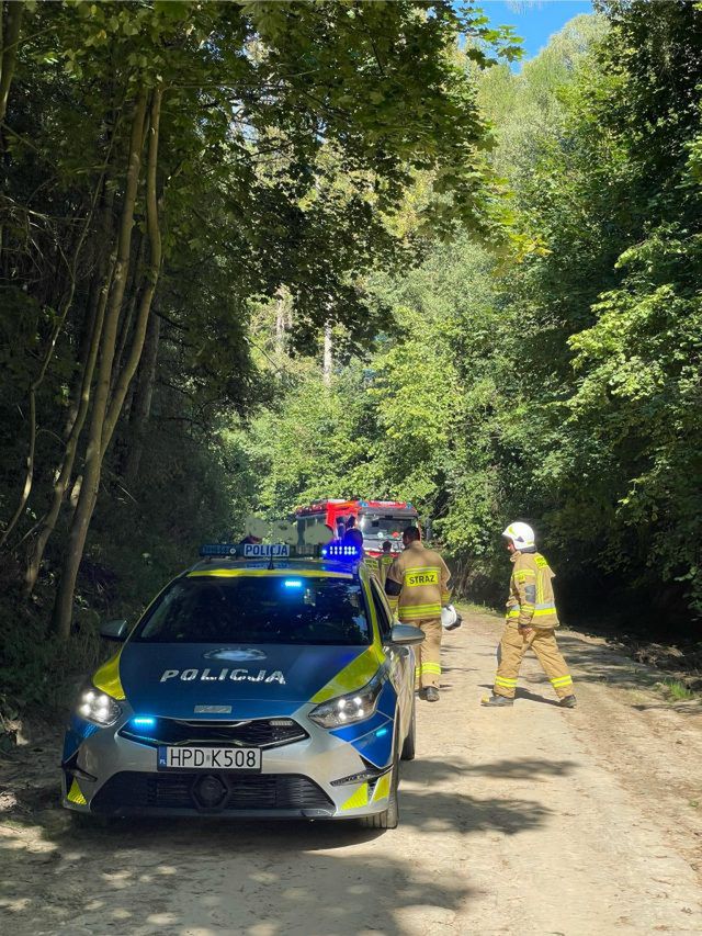 Dwoje dzieci przysypanych ziemią w lesie. Szybka reakcja opiekunów zapobiegła tragedii (zdjęcia)