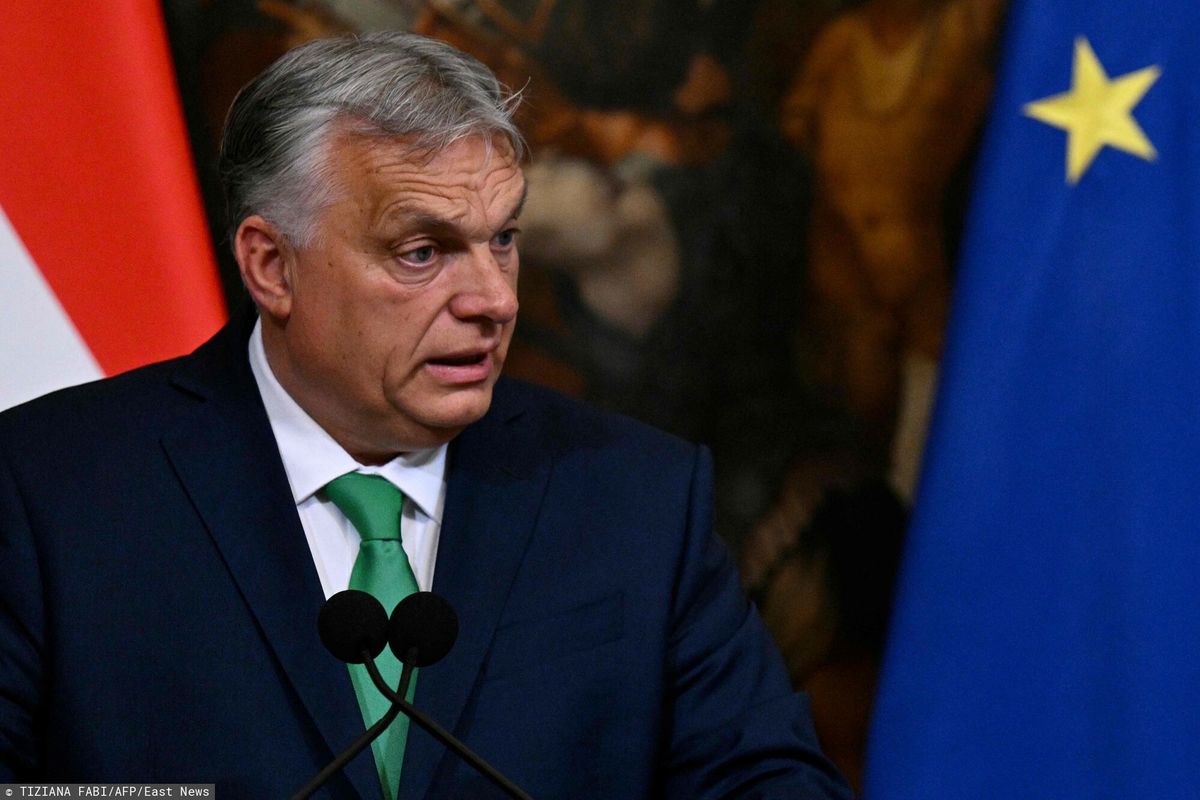 Premier Węgier i lider Fideszu Viktor Orban