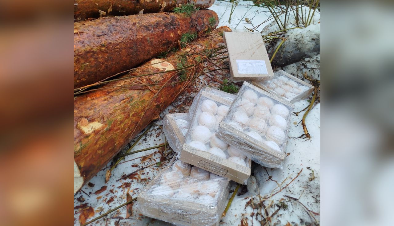 "To nie jest przypadek". Leśnik złapał za telefon. Ludzie się gotują