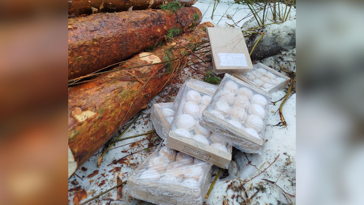 Ktoś wyrzucił pączki do lasu.