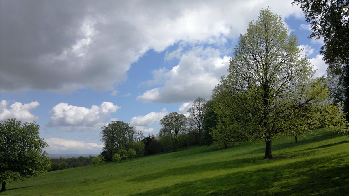 Zdjęcia z Nokii N8 bez obróbki 1