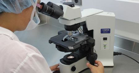 Szokujące informacje z Wuhan. Wszczepiali szczurom ludzkie komórki i testowali wirusy
