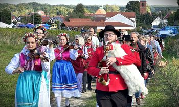 Zabor: Winobranie na winnicy w Lubuskim Centrum Winiarstwa. Był korowód i wspólne zbieranie winogron