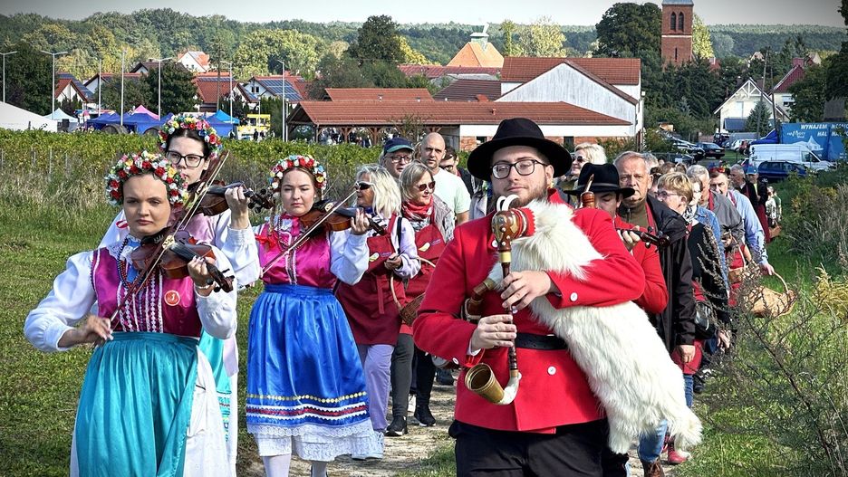 Winobranie w Lubuskim Centrum Winiarstwa