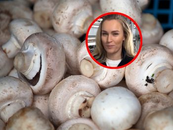 Można jeść surowe pieczarki? Rolniczka wyjaśnia raz na zawsze