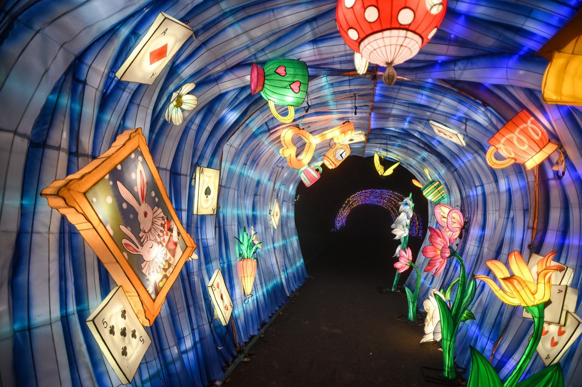 Garden Of Lights - Ogród Światła w Powsinie w 2024 zmienił się w krainę czarów Alicji. Jak będzie w tym roku?