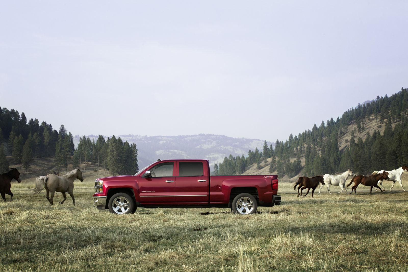 Chevrolet Silverado