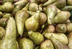 Polskie gruszki nareszcie w marketach. Oto ceny naszych owoców
