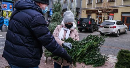 Sztuczna czy prawdziwa? Polacy zaskakują w temacie choinek [BADANIE]