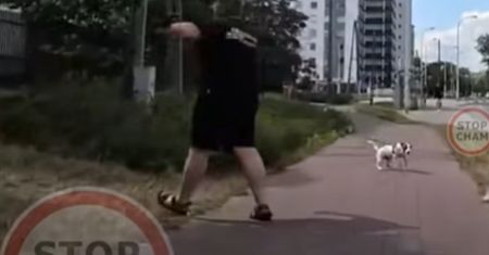 Pies na drodze dla rowerów. Nagle nadjechał. Dramatyczne nagranie