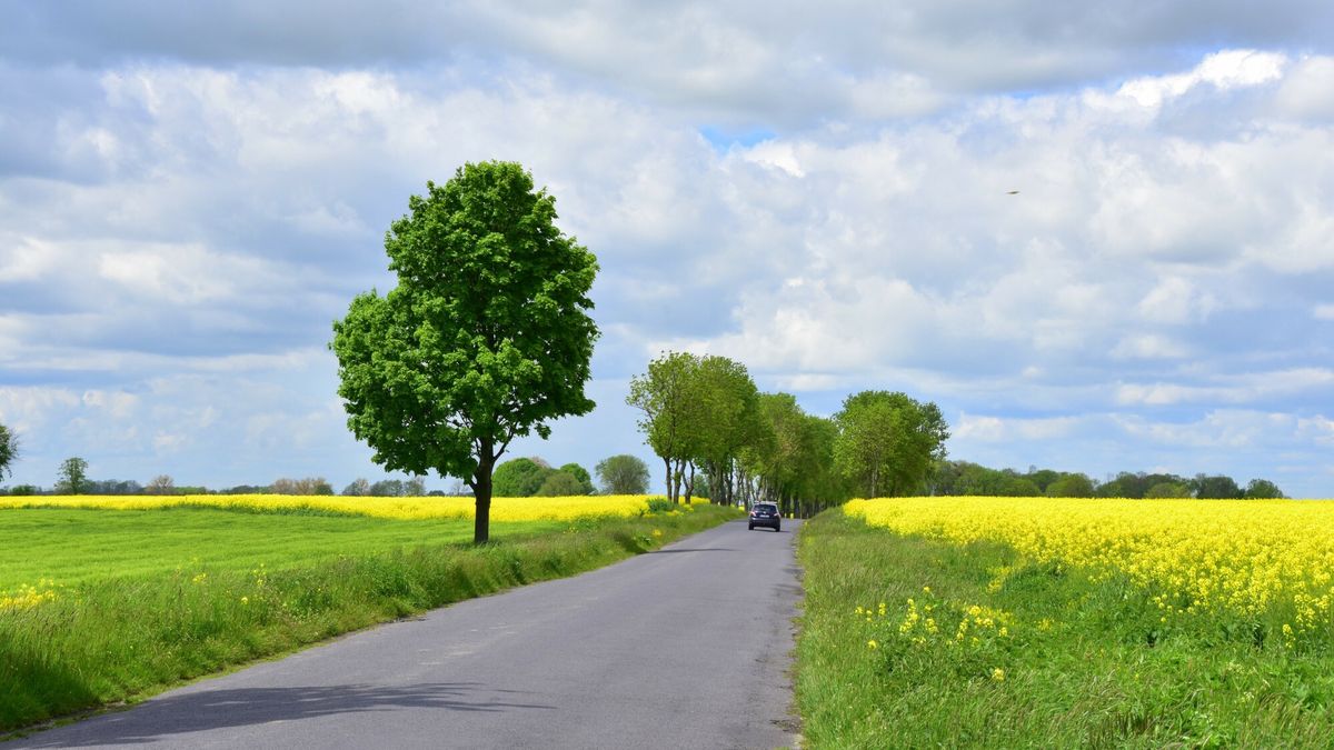 Sejm uchwalił prezydencką ustawę drogową