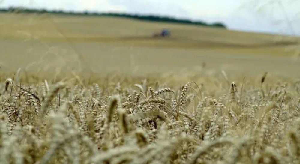 Chemiczna desykacja nie zawsze jest dozwolona. Zasady, o których trzeba pamiętać